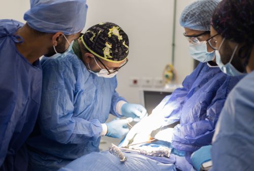 dental Implant live surgeries course