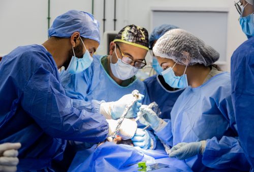 Dr Ihab Hanna in dental implant live surgery course performing operation while explaining for students dental implant process