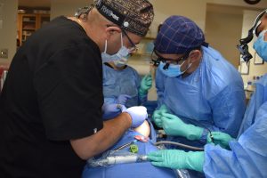 dental implant live surgeries with live patients 