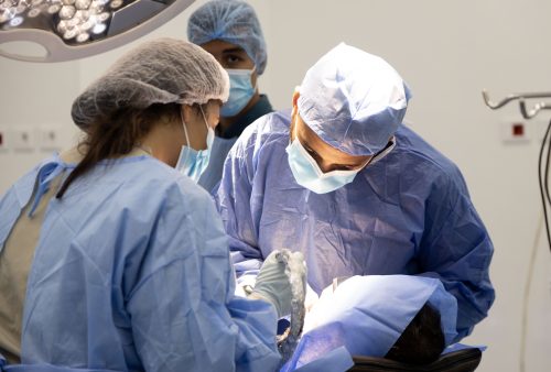 3 doctors in a hospital doing a dental implants live surgeries
